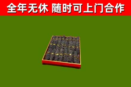 连云回收海参